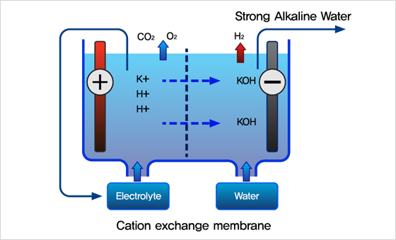 alkaline
